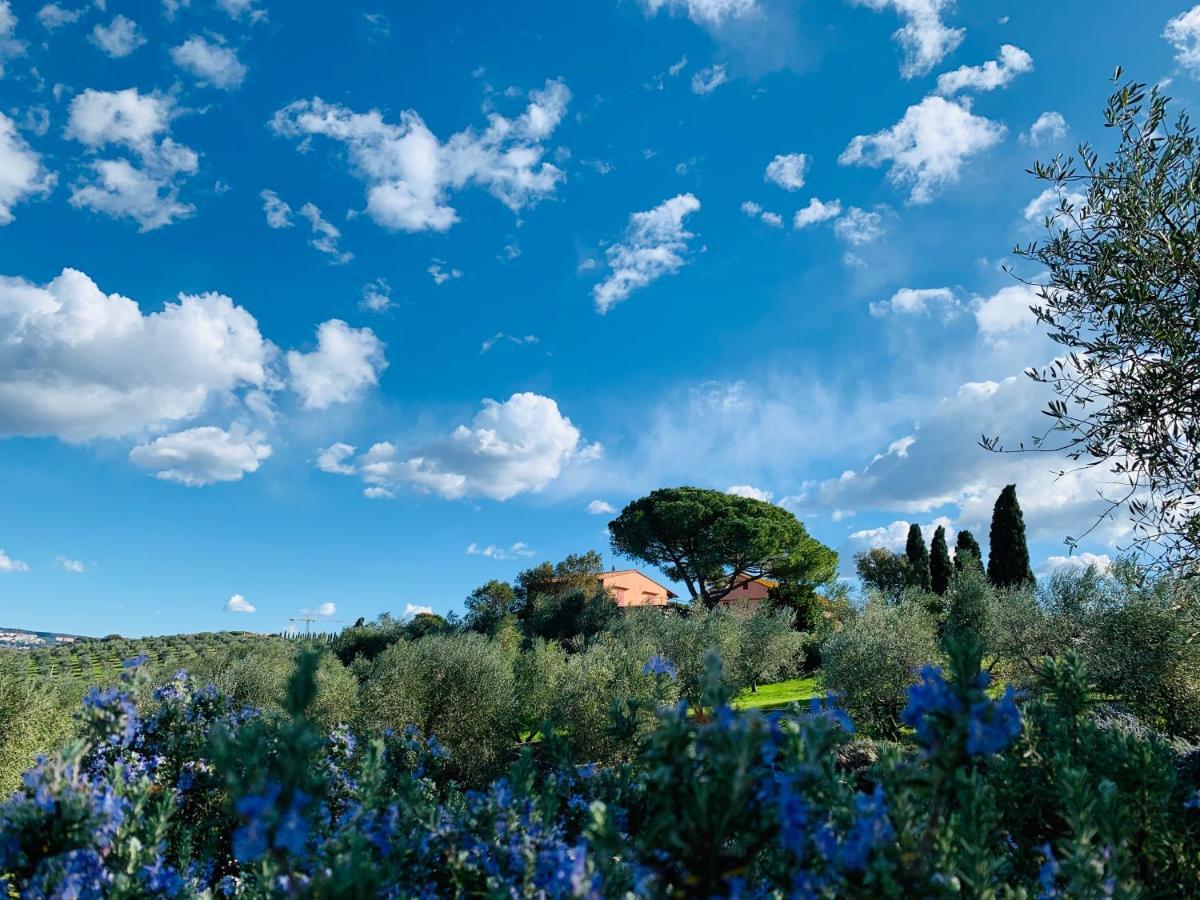 Tenuta Agricola Fraschiera Vila Massa Marittima Exterior foto