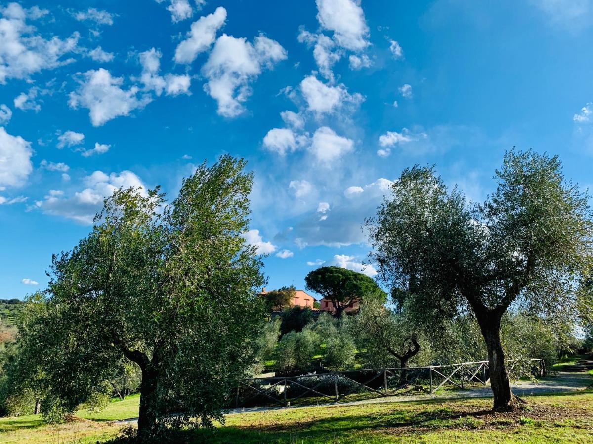 Tenuta Agricola Fraschiera Vila Massa Marittima Exterior foto