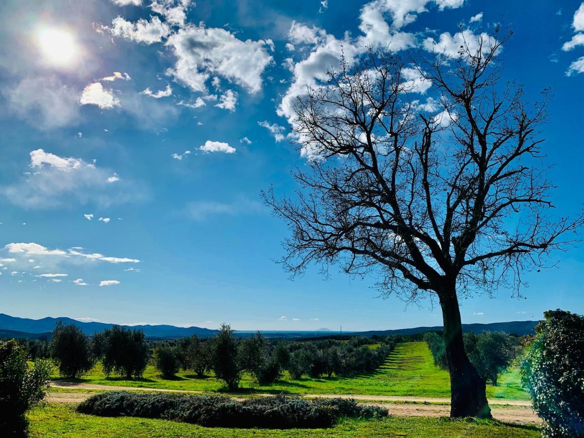 Tenuta Agricola Fraschiera Vila Massa Marittima Exterior foto