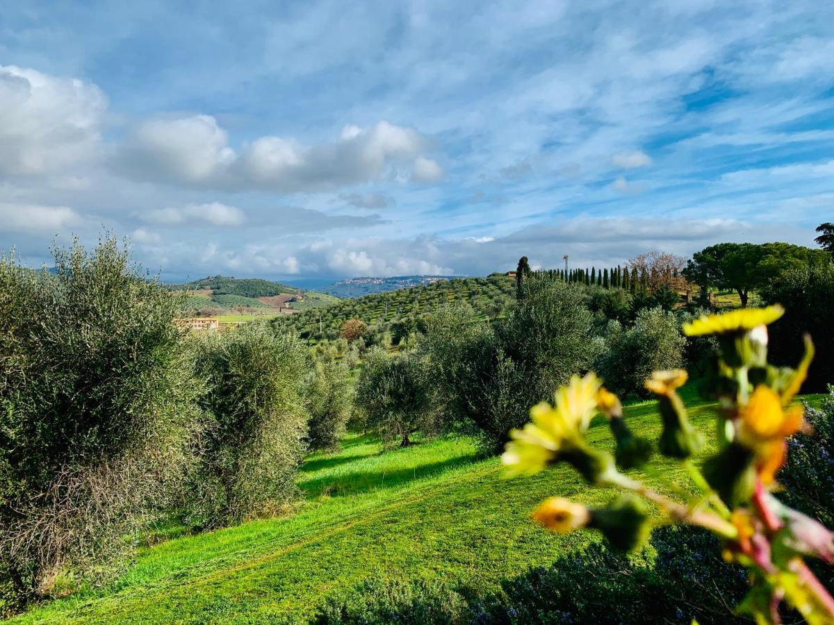 Tenuta Agricola Fraschiera Vila Massa Marittima Exterior foto