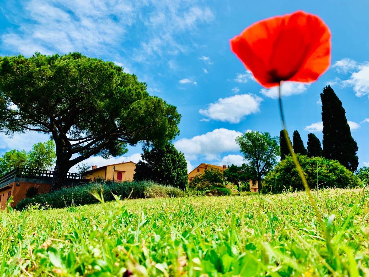 Tenuta Agricola Fraschiera Vila Massa Marittima Exterior foto